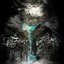Road Runner - Single