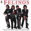 felinos