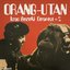 Orang-Utan