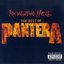 Reinventing Hell: The Best of Pantera Disc 1