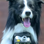 Avatar for DarkoDakroDkror