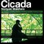 Cicada