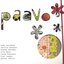 Paavo