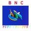 BNC - Single