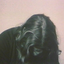 isillaure_e 的头像