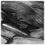 Music for Radura