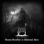 Dismal Grandeur In Nocturnal Aura