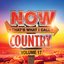 Now That's What I Call Country Volume 17