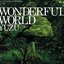 WONDERFUL WORLD