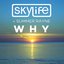 Why (feat. Summer Rayne) - Single