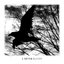 Raven