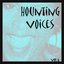 Hounting Voices, Vol. 6 (Baby I Don't Care)