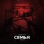 Семья