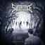 Forest of the Impaled