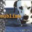 Sublime [Bonus Disc] Disc 1