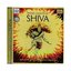 Divine Chants of Shiva - Mantras That Manifest As Energy and Enlightenment