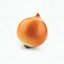 onion [Explicit]