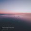 Partially Present
