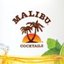 22Tracks: Malibu