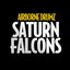 Saturn Falcons