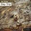 Day Trip