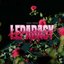 Lepadasy