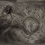 Into the Womb of Dissolving Flames