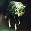 Wolf In Sheep's Clothing [REBORN] - Single