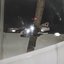 RV Lights