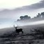 Untraveller [part I]