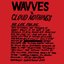 Wavves x Cloud Nothings