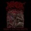 Engorged In Gluttonous Vivisection