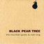 Black Pear Tree