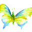 Avatar for Schmetterling87