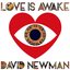 Love is Awake