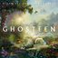 Ghosteen [Disc 2]