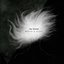 Before a Storm - Single