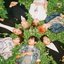 화양연화 The Most Beautiful Moment In Life, Pt. 1