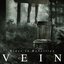 VEIN【通常盤】