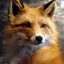 Foxkrul için avatar
