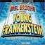 Young Frankenstein - The New Mel Brooks Musical