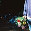 Seasons / Growth - Single