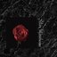 Look at Me Now - Single