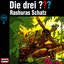 150 - Geisterbucht - A - Rashuras Schatz