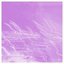 Champagne Villeroy - Single