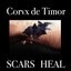 Scars Heal