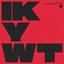 I Know You Want To - Single
