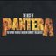 The Best of Pantera: Far Beyond the Great Southern Cowboys' Vulgar Hits! [Bonus DVD] Disc 1