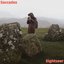 Sightseer