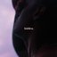 Hidden - Single
